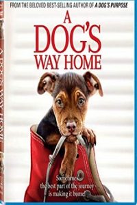 The incredible adventure of Bella (2019) image8195