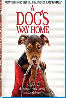 The incredible adventure of Bella (2019) image8195